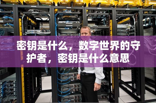 密钥是什么，数字世界的守护者，密钥是什么意思