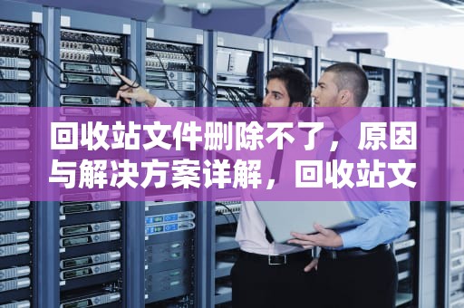 回收站文件删除不了，原因与解决方案详解，回收站文件删除不了怎么办