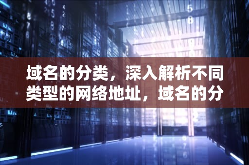 域名的分类，深入解析不同类型的网络地址，域名的分类有哪些