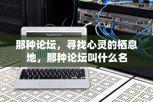 那种论坛，寻找心灵的栖息地，那种论坛叫什么名