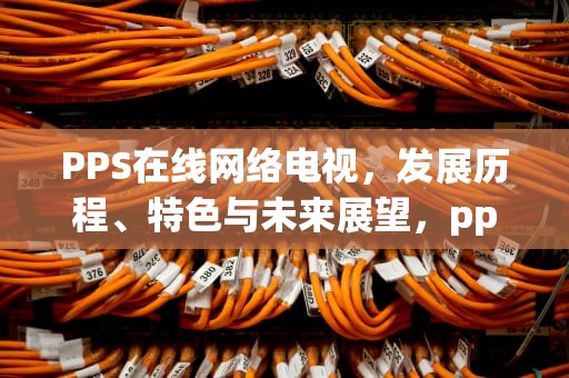 PPS在线网络电视，发展历程、特色与未来展望，pps在线网络电视怎么用