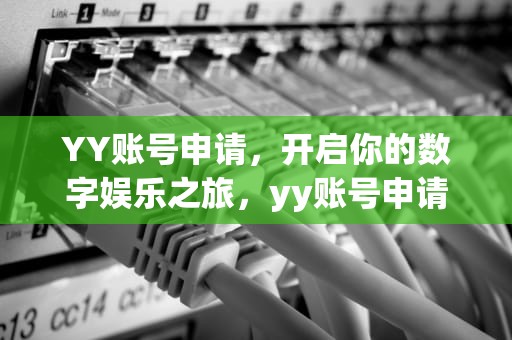 YY账号申请，开启你的数字娱乐之旅，yy账号申请解封