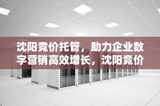 沈阳竞价托管，助力企业数字营销高效增长，沈阳竞价托管公司排名