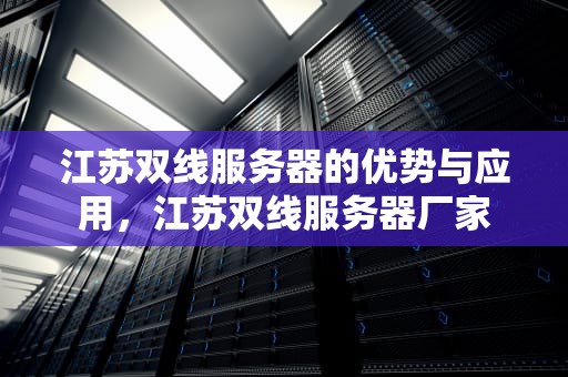 江苏双线服务器的优势与应用，江苏双线服务器厂家