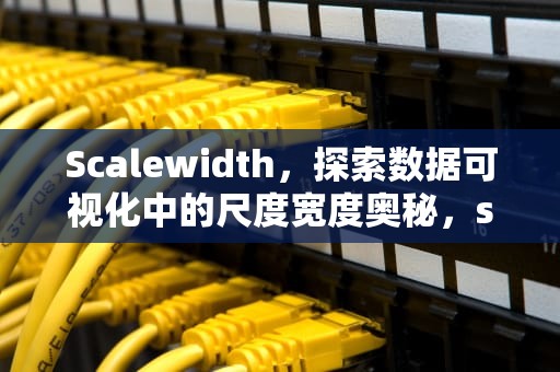 Scalewidth，探索数据可视化中的尺度宽度奥秘，scalewidth翻译