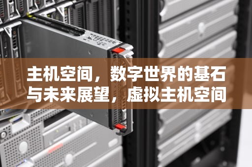 主机空间，数字世界的基石与未来展望，虚拟主机空间