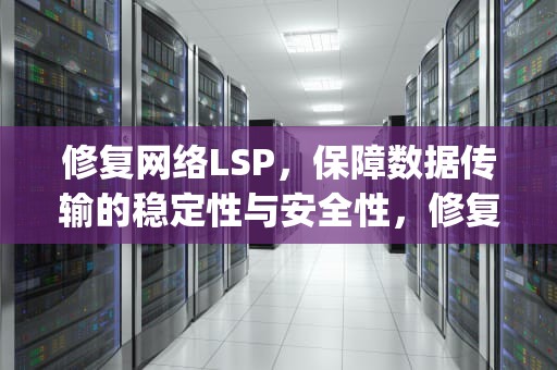 修复网络LSP，保障数据传输的稳定性与安全性，修复网络lsp什么意思