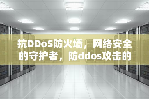 抗DDoS防火墙，网络安全的守护者，防ddos攻击的部署