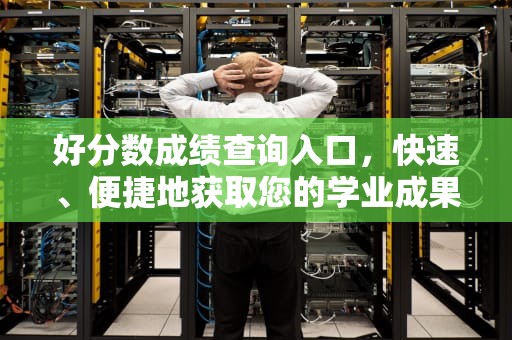好分数成绩查询入口，快速、便捷地获取您的学业成果，好分数成绩查询入口在线