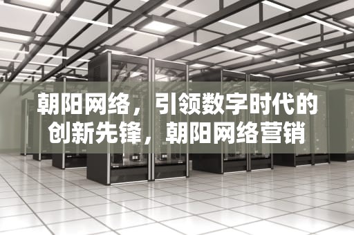 朝阳网络，引领数字时代的创新先锋，朝阳网络营销