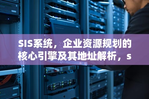 SIS系统，企业资源规划的核心引擎及其地址解析，sis 地址 67.