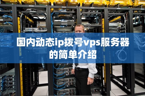 国内动态ip拨号vps服务器的简单介绍