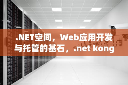 .NET空间，Web应用开发与托管的基石，.net kong