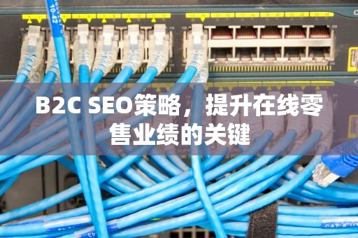 B2C SEO策略，提升在线零售业绩的关键