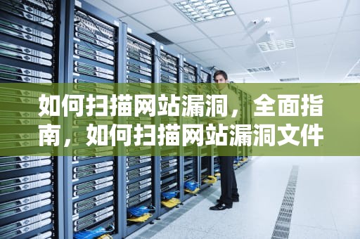 如何扫描网站漏洞，全面指南，如何扫描网站漏洞文件