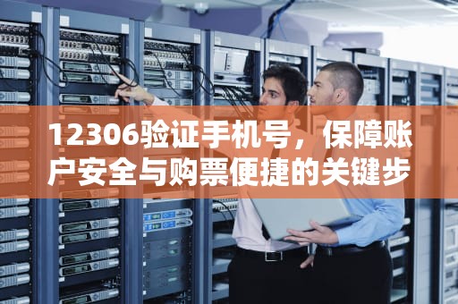 12306验证手机号，保障账户安全与购票便捷的关键步骤，12306验证手机号怎么改