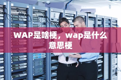 WAP是啥梗，wap是什么意思梗