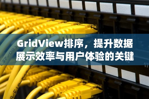 GridView排序，提升数据展示效率与用户体验的关键，gridview排序功能属性