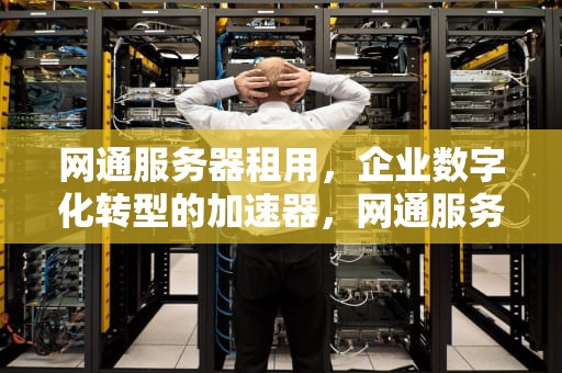 网通服务器租用，企业数字化转型的加速器，网通服务器租用多少钱