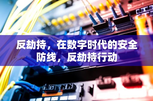 反劫持，在数字时代的安全防线，反劫持行动