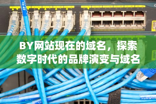 BY网站现在的域名，探索数字时代的品牌演变与域名策略，by网站现在的域名贴吧