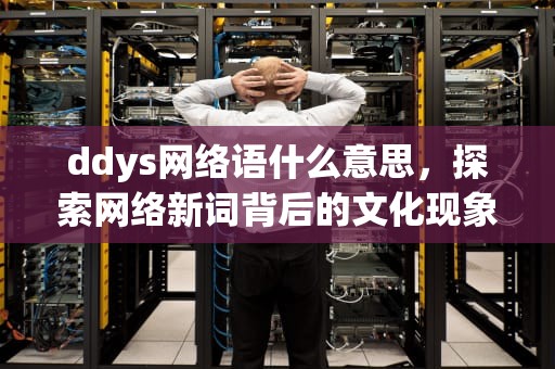 ddys网络语什么意思，探索网络新词背后的文化现象，ddys网络语什么意思f
