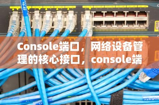 Console端口，网络设备管理的核心接口，console端口是什么意思