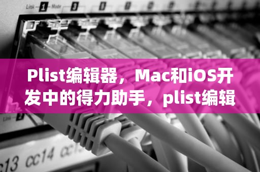 Plist编辑器，Mac和iOS开发中的得力助手，plist编辑器手机版