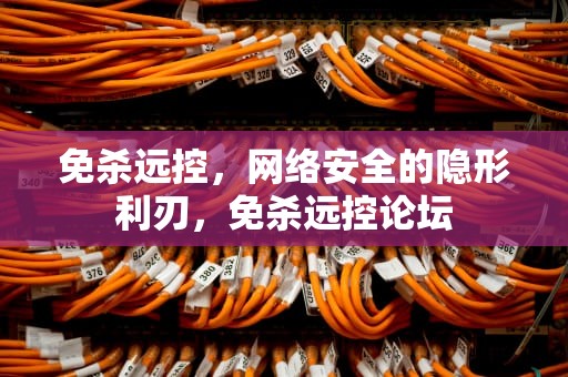 免杀远控，网络安全的隐形利刃，免杀远控论坛
