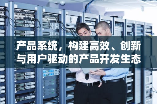 产品系统，构建高效、创新与用户驱动的产品开发生态，产品系统设计
