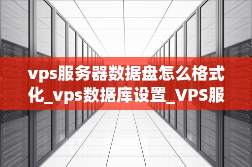 vps服务器数据盘怎么格式化_vps数据库设置_VPS服务器数据盘格式化详解