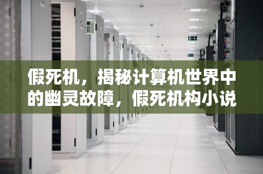 假死机，揭秘计算机世界中的幽灵故障，假死机构小说