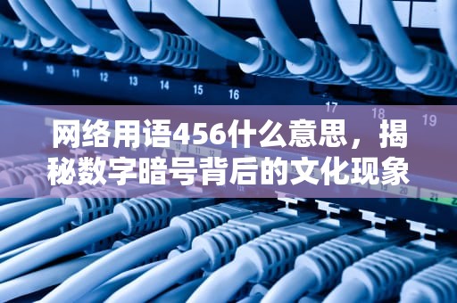 网络用语456什么意思，揭秘数字暗号背后的文化现象，网络用语456什么意思?