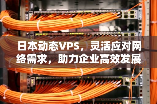 日本动态VPS，灵活应对网络需求，助力企业高效发展