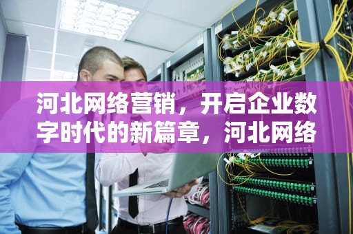 河北网络营销，开启企业数字时代的新篇章，河北网络营销公司排名