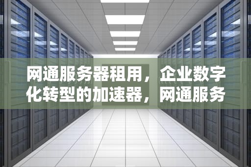 网通服务器租用，企业数字化转型的加速器，网通服务器租用多少钱