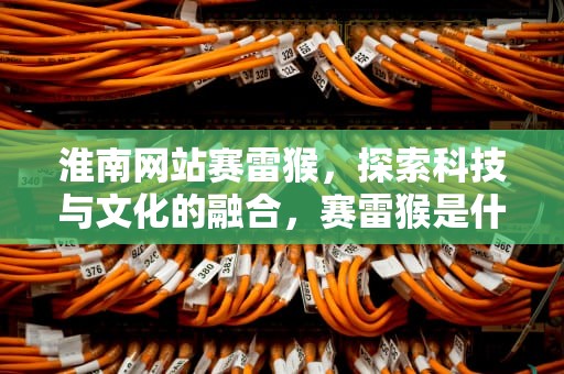 淮南网站赛雷猴，探索科技与文化的融合，赛雷猴是什么意思