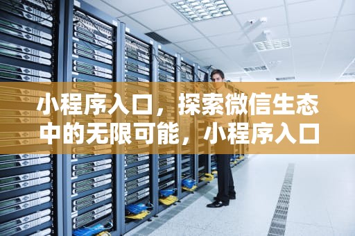 小程序入口，探索微信生态中的无限可能，小程序入口鞋柜