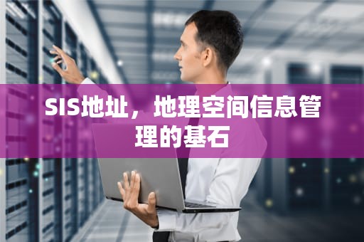 SIS地址，地理空间信息管理的基石
