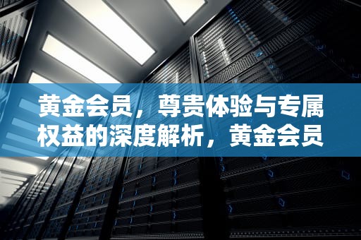 黄金会员，尊贵体验与专属权益的深度解析，黄金会员河南3元版是干什么的