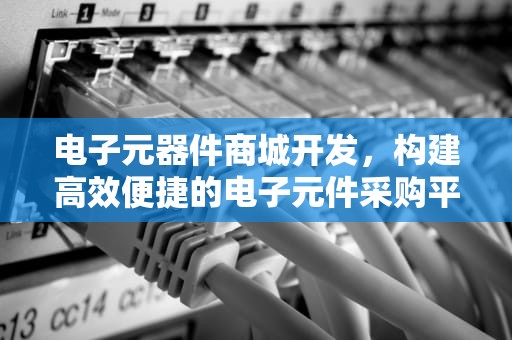 电子元器件商城开发，构建高效便捷的电子元件采购平台，电子元器件商城开发云汉芯城