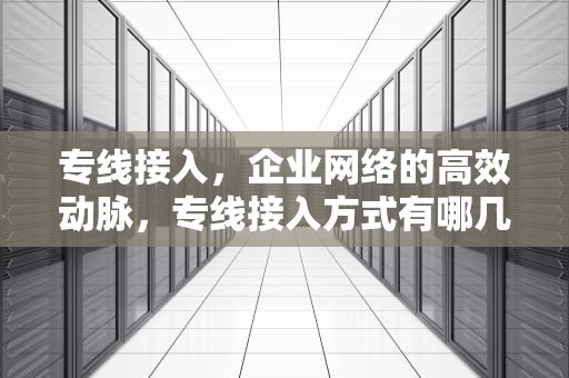 专线接入，企业网络的高效动脉，专线接入方式有哪几种