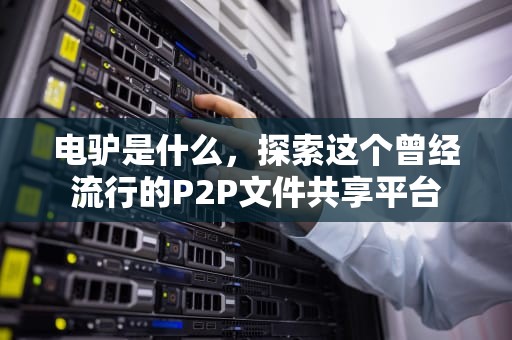 电驴是什么，探索这个曾经流行的P2P文件共享平台