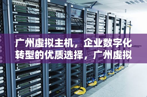 广州虚拟主机，企业数字化转型的优质选择，广州虚拟主机生产厂家