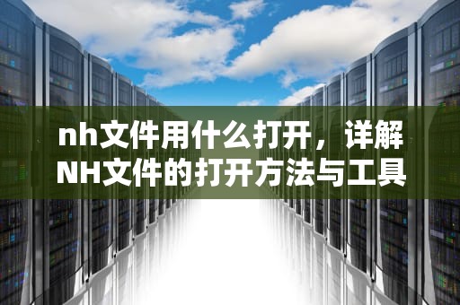 nh文件用什么打开，详解NH文件的打开方法与工具，NH文件用什么打开