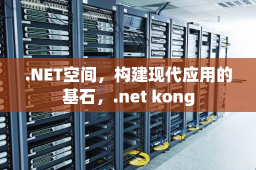 .NET空间，构建现代应用的基石，.net kong
