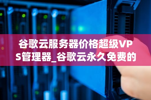 谷歌云服务器价格超级VPS管理器_谷歌云永久免费的vps_谷歌云服务器价格超级VPS管理器的深度解析