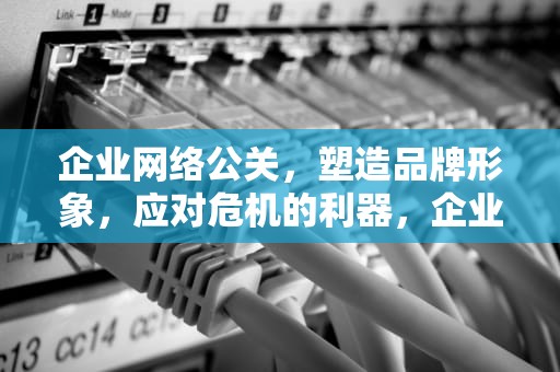 企业网络公关，塑造品牌形象，应对危机的利器，企业网络公关的主要形式有哪些?