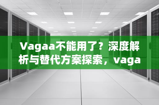 Vagaa不能用了？深度解析与替代方案探索，vagaa不能用了大家都用什么