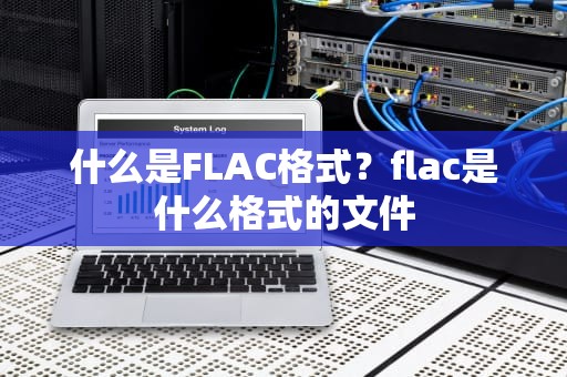 什么是FLAC格式？flac是什么格式的文件
